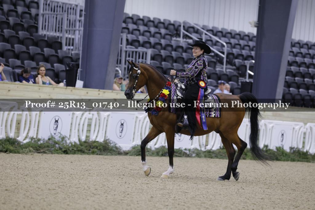 Proof 25R13_01740
