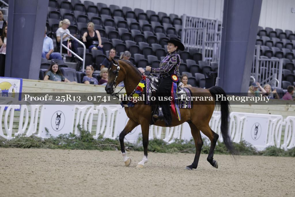 Proof 25R13_01741