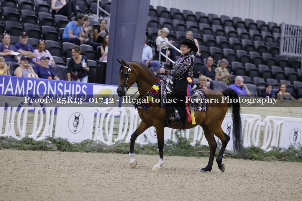 Proof 25R13_01742