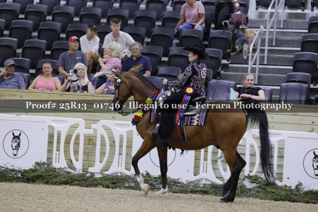 Proof 25R13_01746