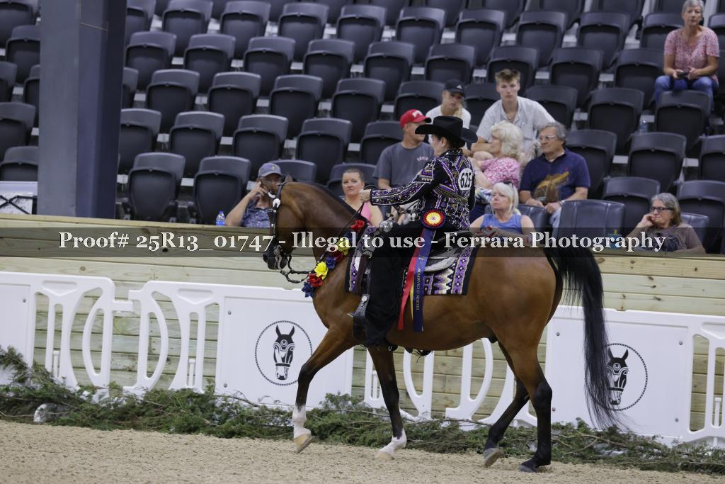 Proof 25R13_01747