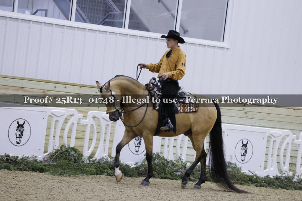 Proof 25R13_01748