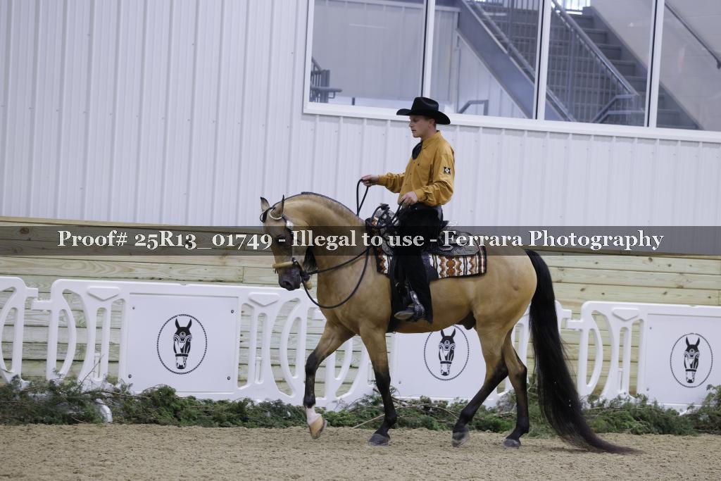 Proof 25R13_01749