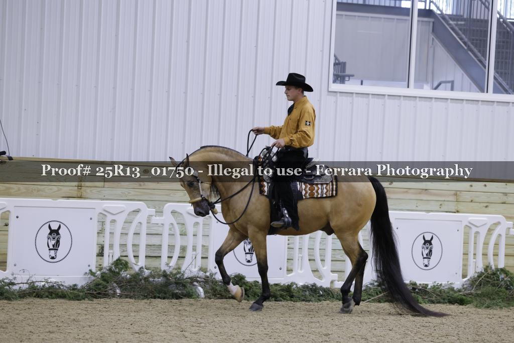 Proof 25R13_01750