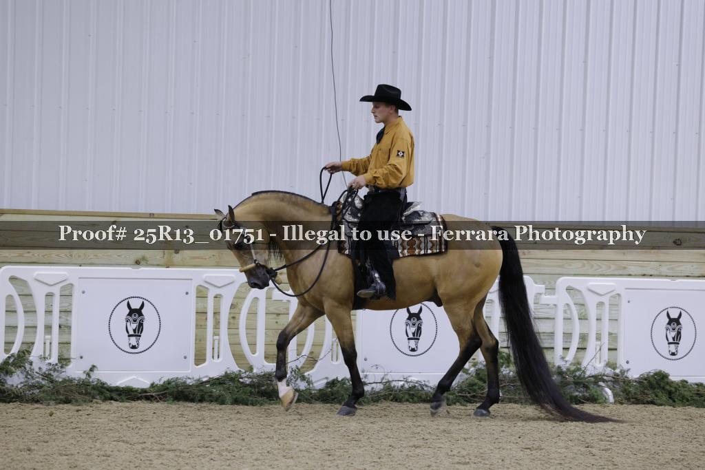 Proof 25R13_01751