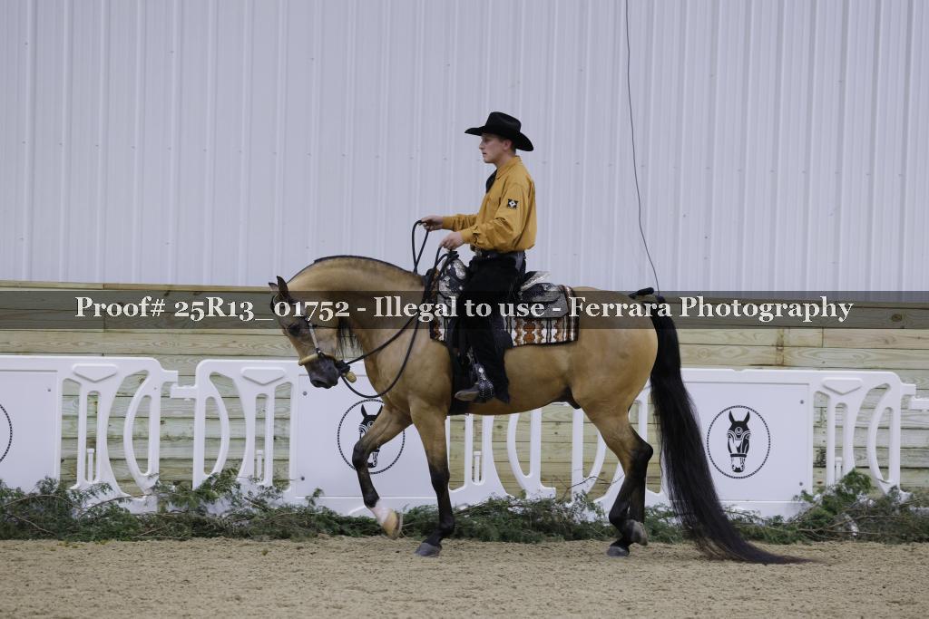Proof 25R13_01752