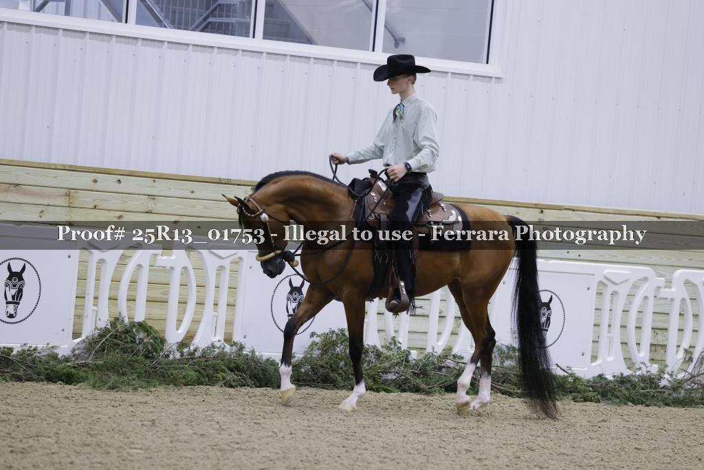 Proof 25R13_01753