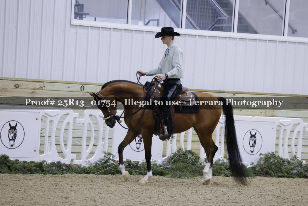 Proof 25R13_01754