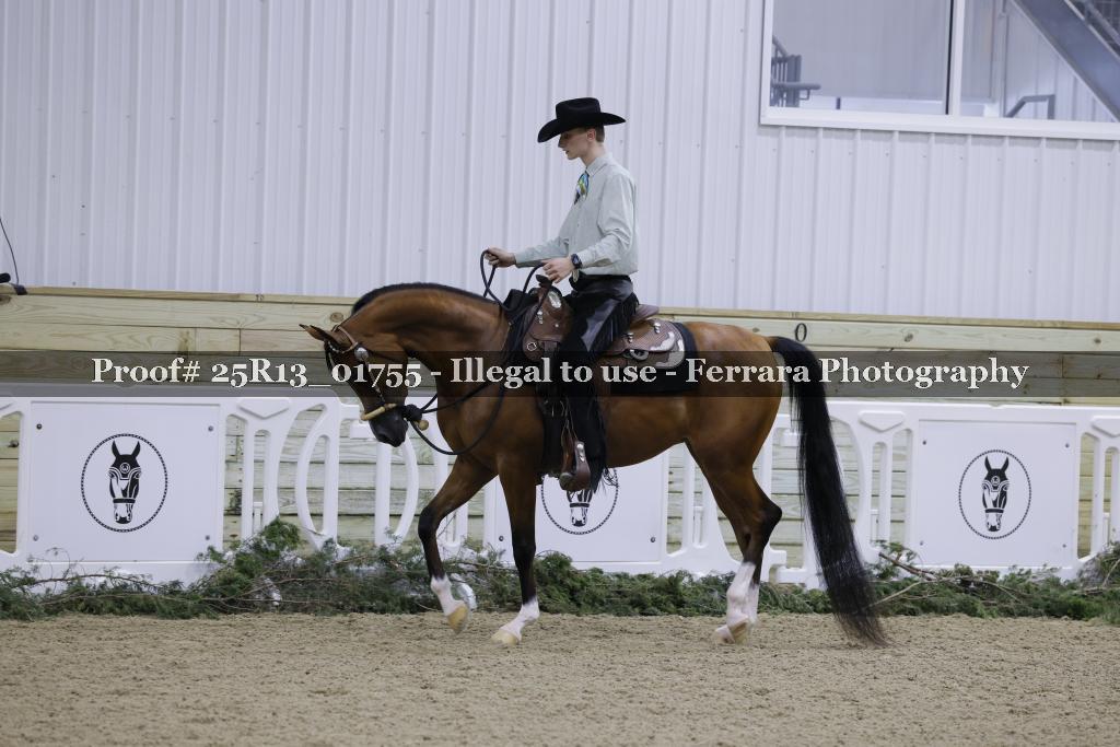 Proof 25R13_01755
