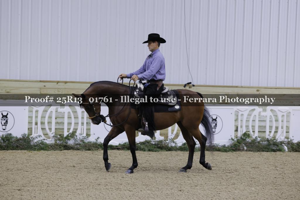 Proof 25R13_01761