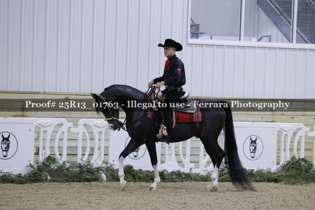 Proof 25R13_01763
