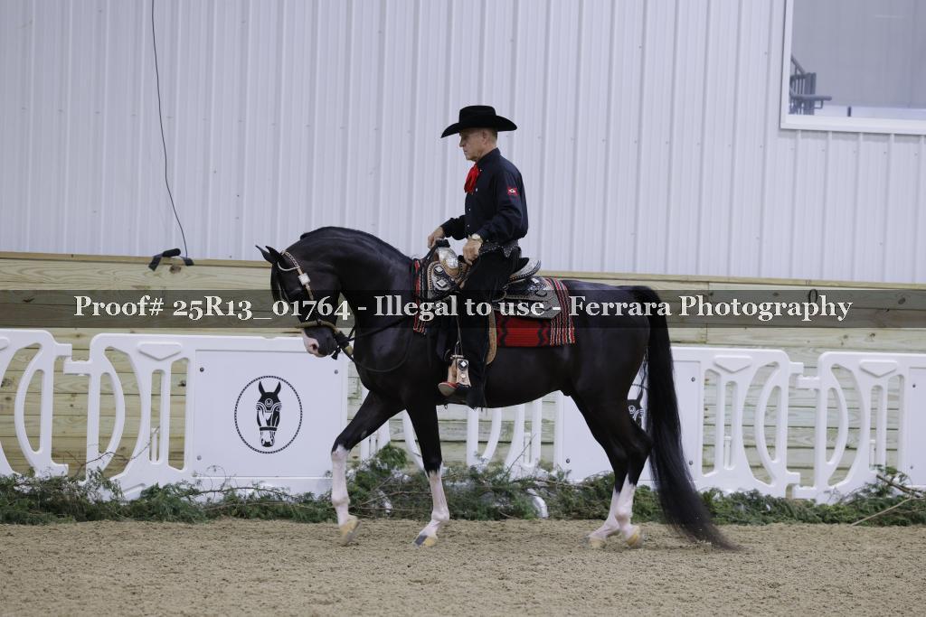Proof 25R13_01764