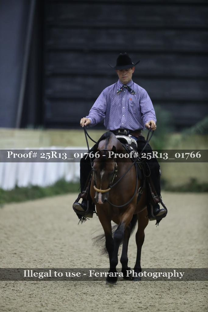 Proof 25R13_01766
