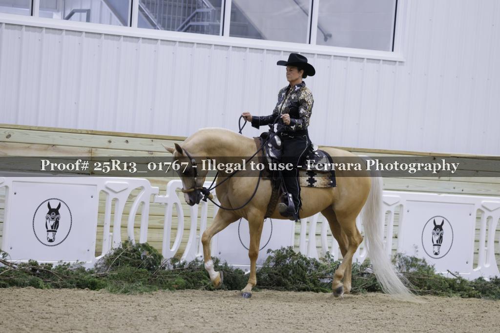 Proof 25R13_01767