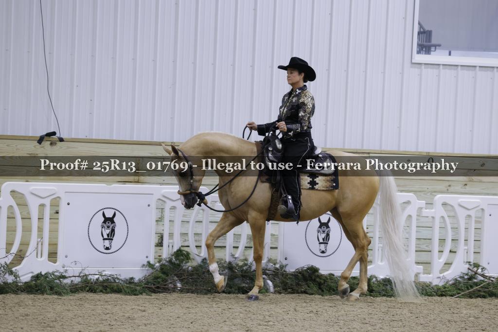 Proof 25R13_01769