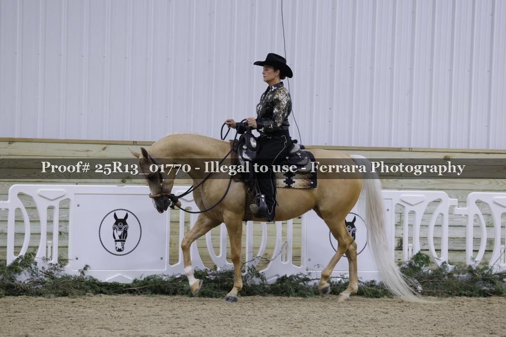 Proof 25R13_01770