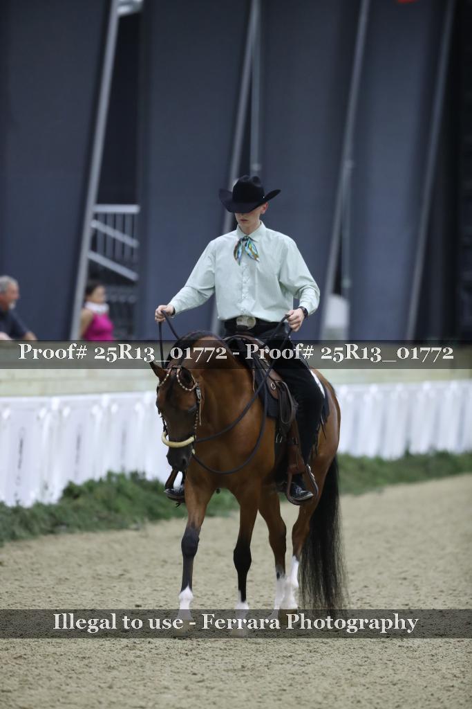 Proof 25R13_01772
