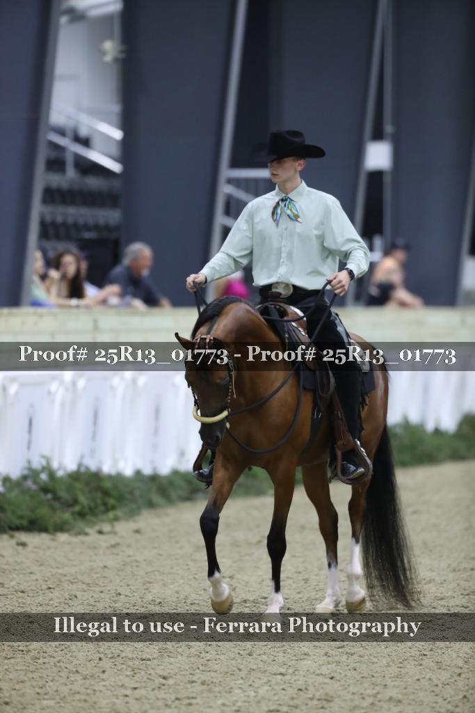 Proof 25R13_01773