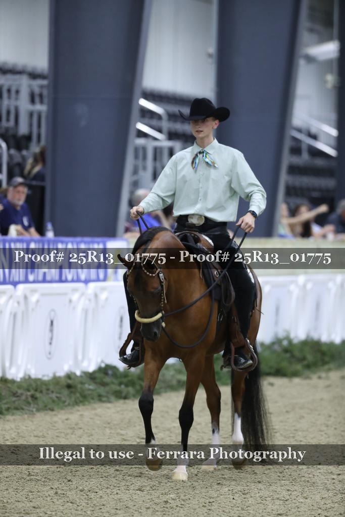 Proof 25R13_01775