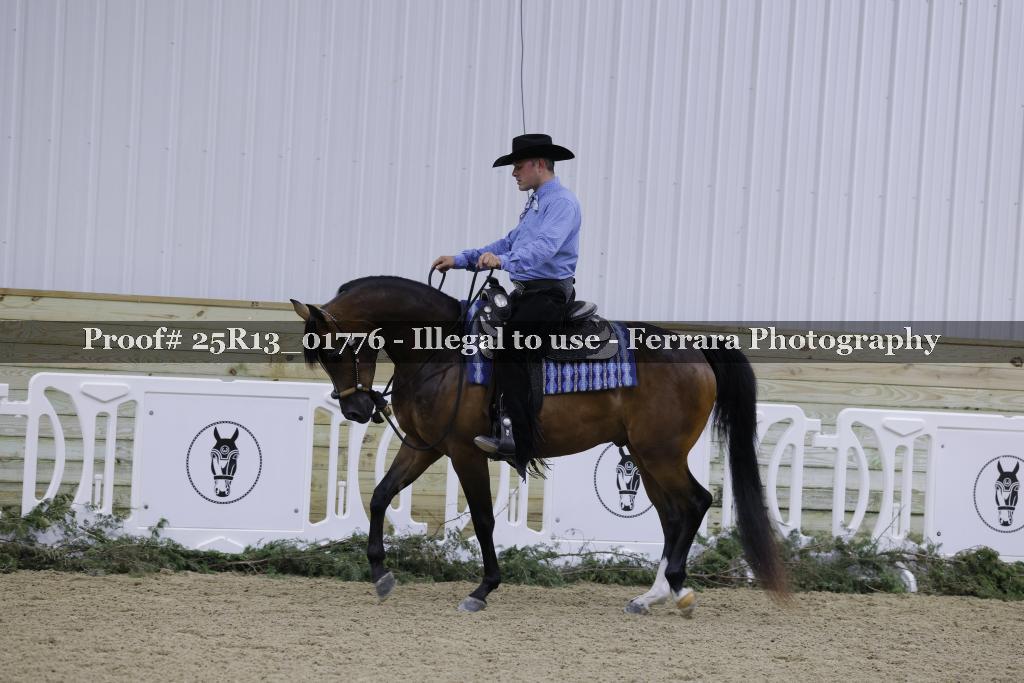 Proof 25R13_01776