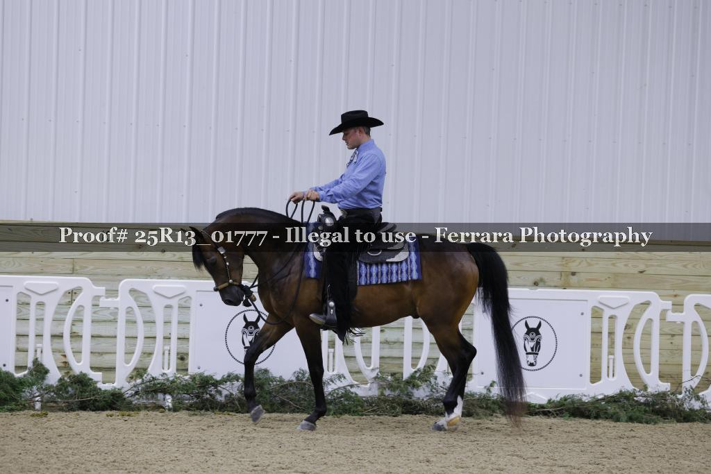 Proof 25R13_01777