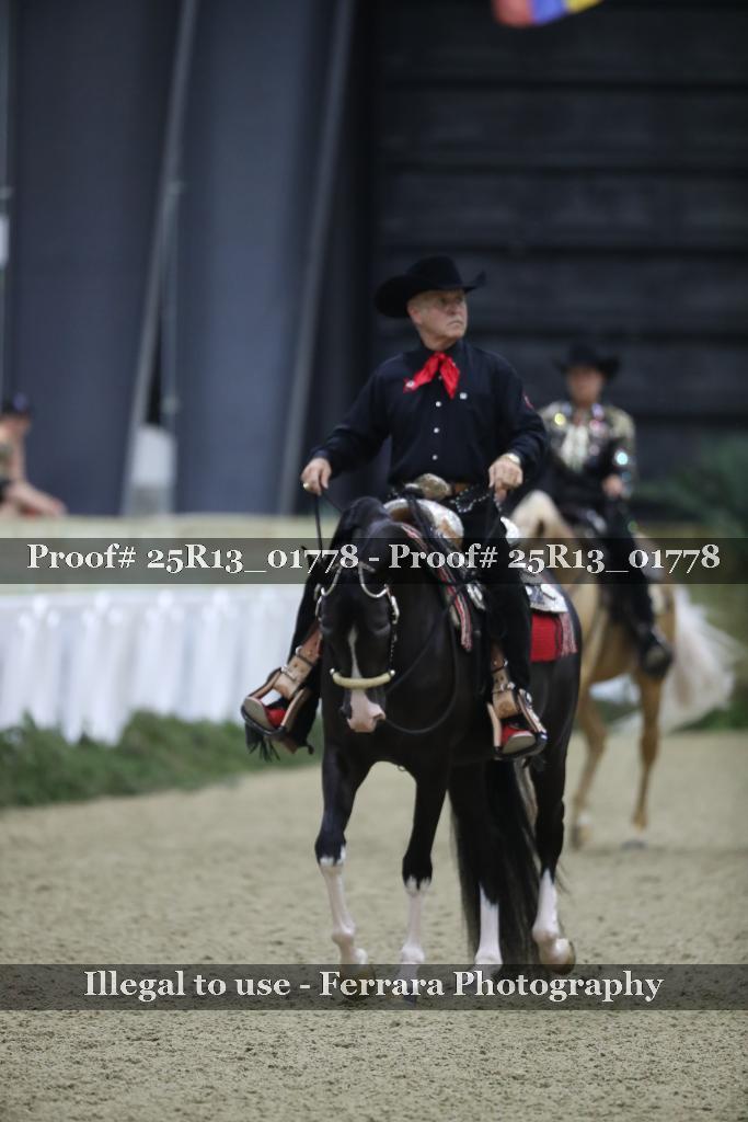 Proof 25R13_01778