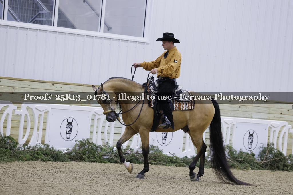 Proof 25R13_01781
