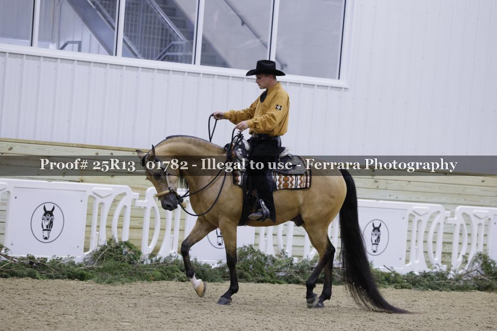 Proof 25R13_01782