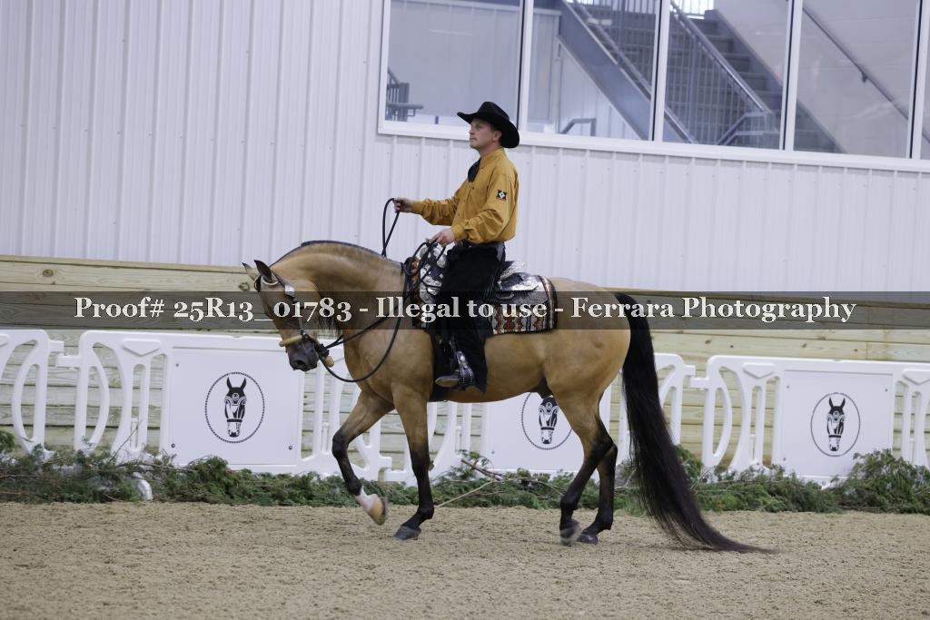 Proof 25R13_01783