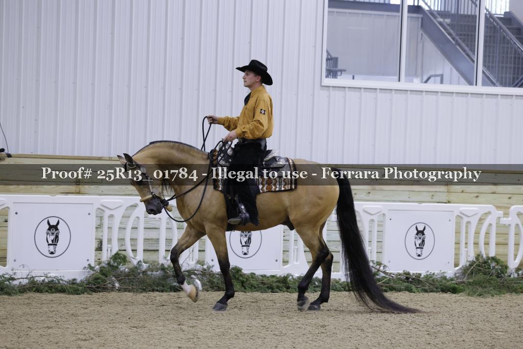 Proof 25R13_01784