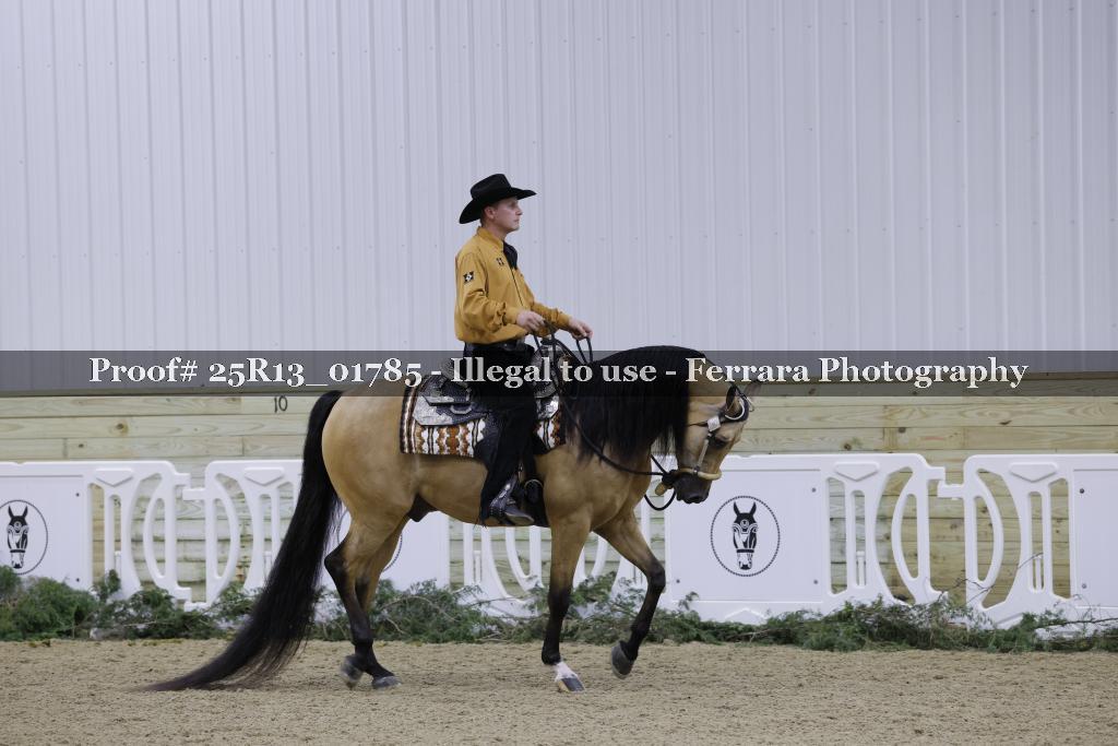 Proof 25R13_01785
