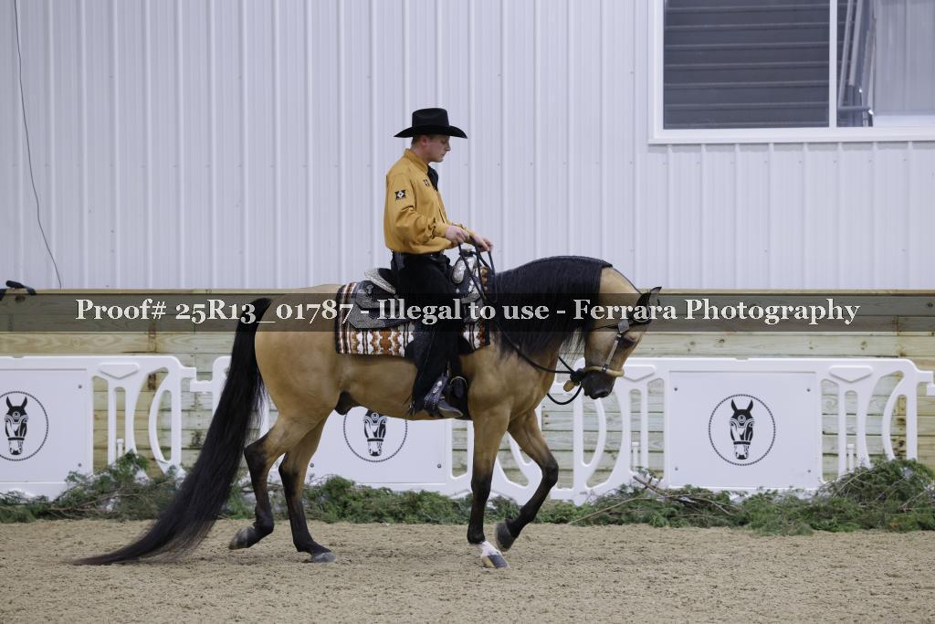 Proof 25R13_01787