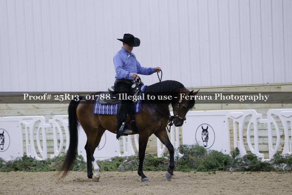 Proof 25R13_01788