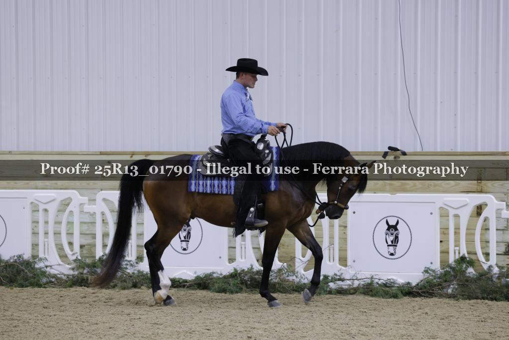 Proof 25R13_01790