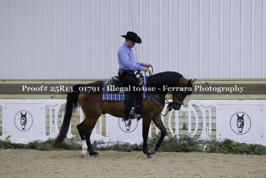 Proof 25R13_01791