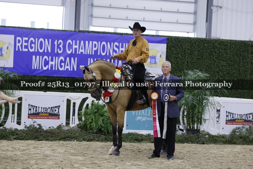 Proof 25R13_01797