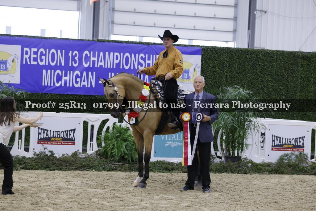 Proof 25R13_01799