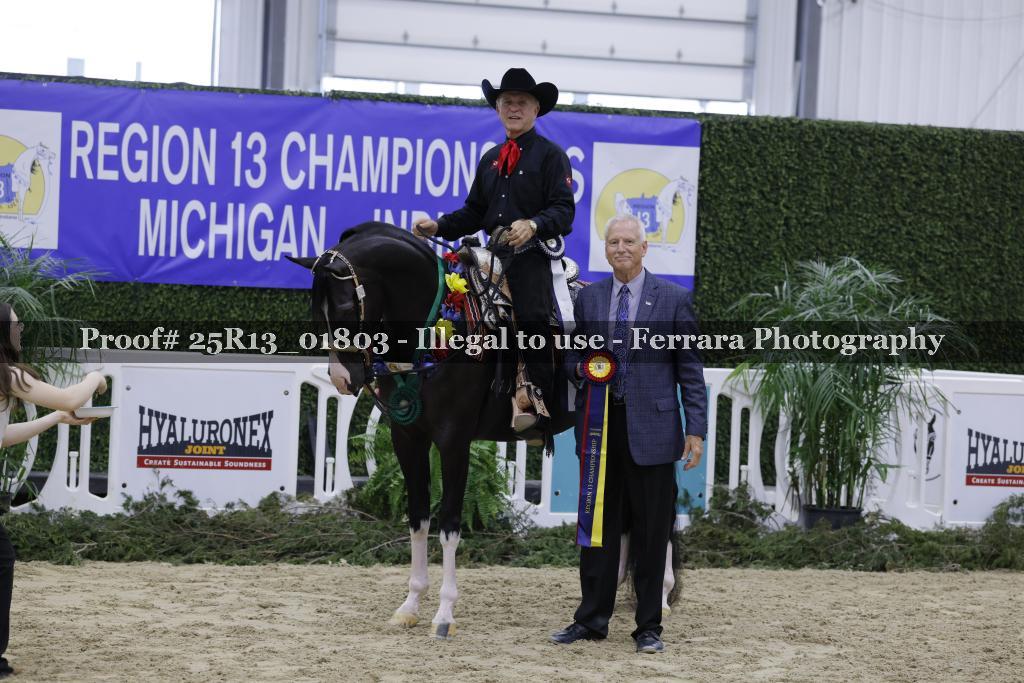 Proof 25R13_01803