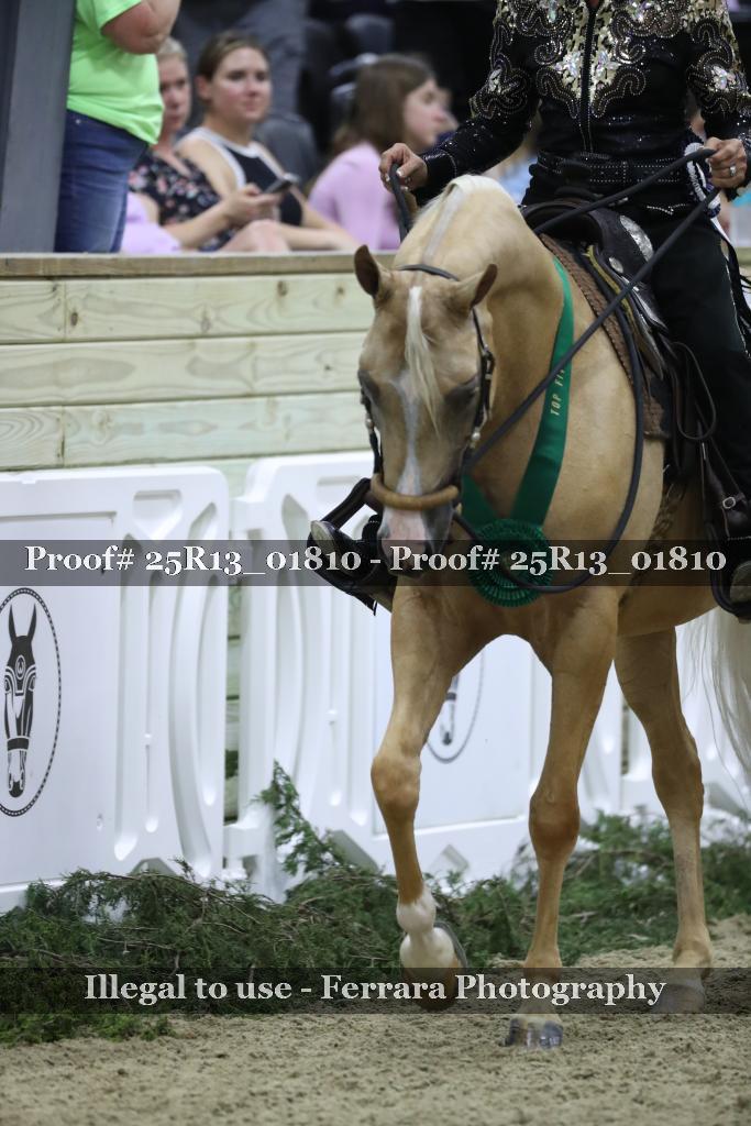 Proof 25R13_01810