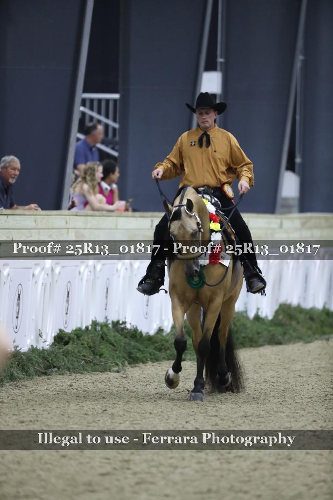 Proof 25R13_01817