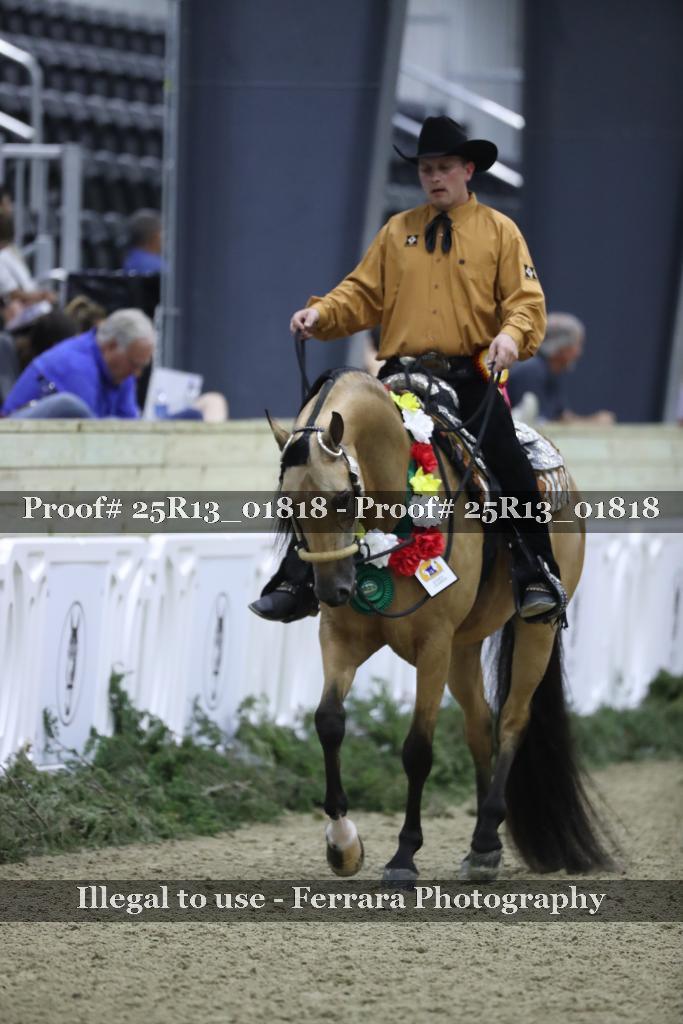 Proof 25R13_01818