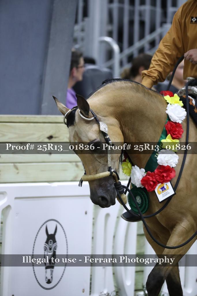 Proof 25R13_01826