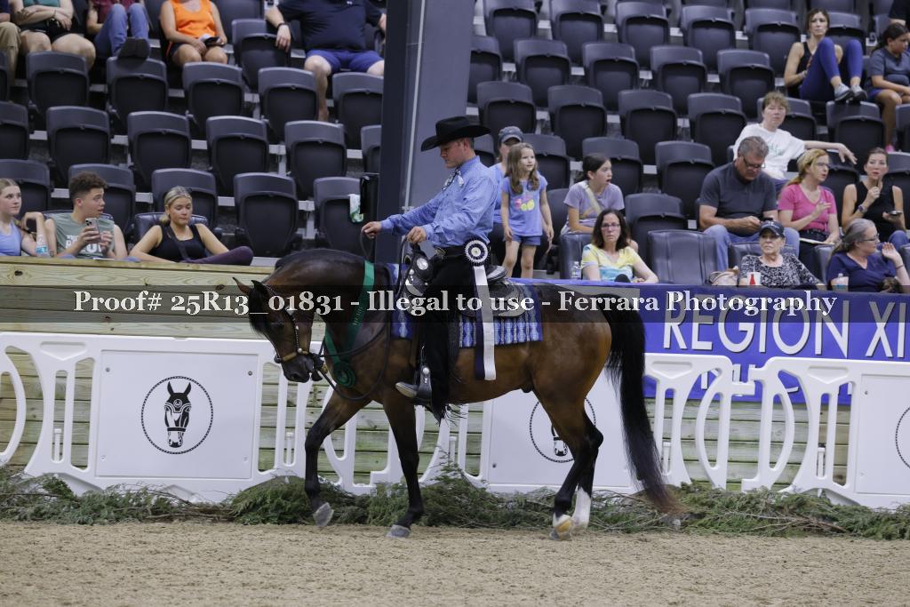 Proof 25R13_01831