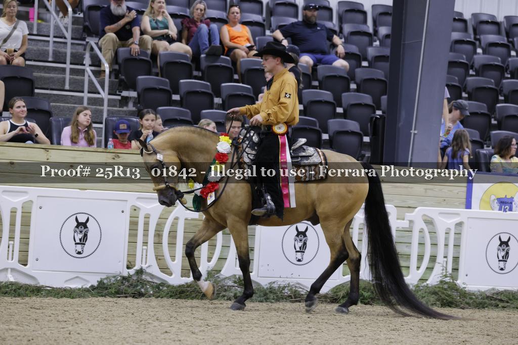 Proof 25R13_01842