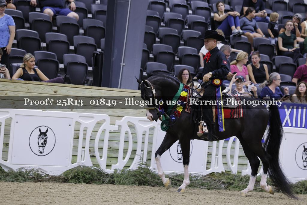 Proof 25R13_01849