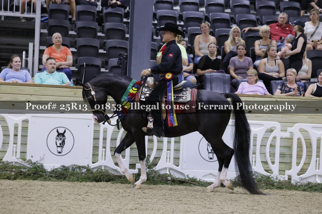Proof 25R13_01853
