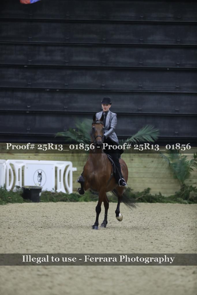 Proof 25R13_01856