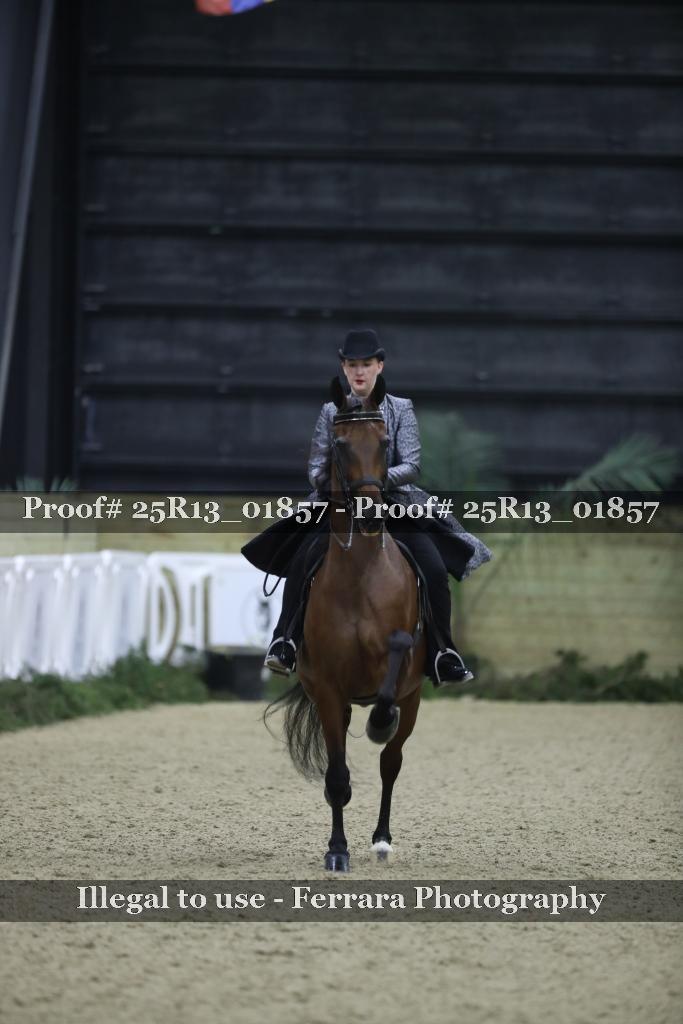 Proof 25R13_01857