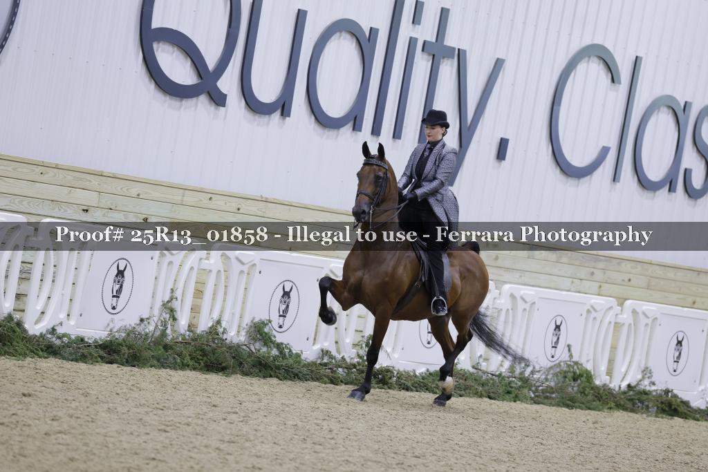 Proof 25R13_01858