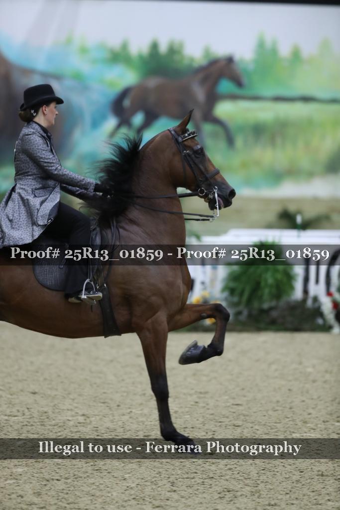 Proof 25R13_01859